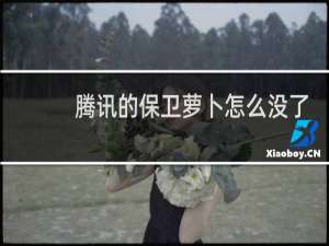 腾讯的保卫萝卜怎么没了