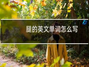 腿的英文单词怎么写