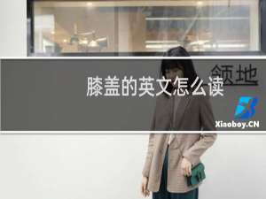 膝盖的英文怎么读