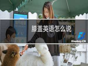 膝盖英语怎么说