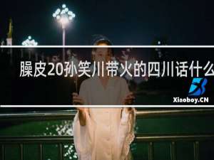 臊皮 孙笑川带火的四川话什么梗