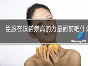 臣服在汉诺崇高的力量面前吧什么梗