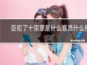 臣犯了十宗罪是什么意思什么梗