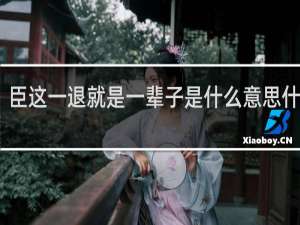 臣这一退就是一辈子是什么意思什么梗