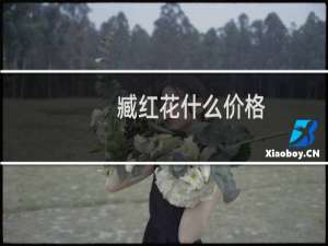 臧红花什么价格