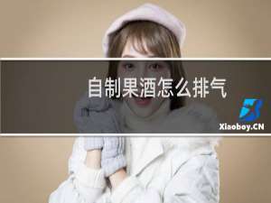 自制果酒怎么排气