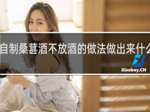 自制桑葚酒不放酒的做法做出来什么味道