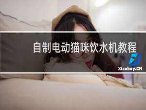 自制电动猫咪饮水机教程