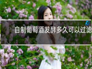 自制葡萄酒发酵多久可以过滤