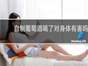 自制葡萄酒喝了对身体有害吗