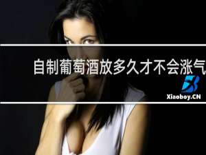 自制葡萄酒放多久才不会涨气
