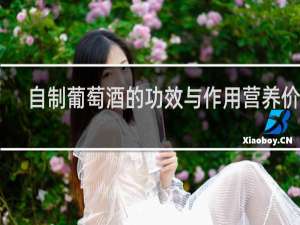 自制葡萄酒的功效与作用营养价值
