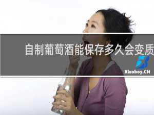 自制葡萄酒能保存多久会变质