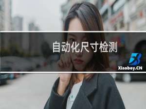 自动化尺寸检测