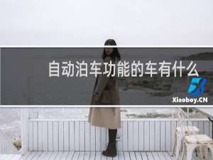 自动泊车功能的车有什么