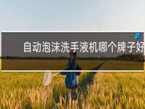 自动泡沫洗手液机哪个牌子好