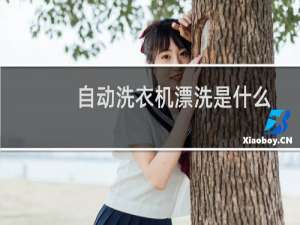 自动洗衣机漂洗是什么意思（自动洗衣机漂洗是什么意思）