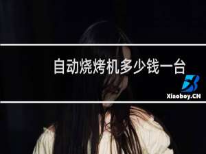自动烧烤机多少钱一台