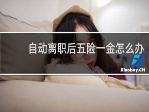 自动离职后五险一金怎么办