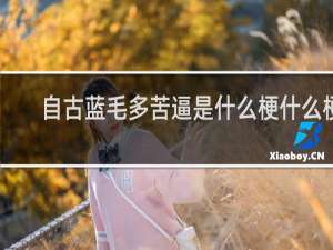 自古蓝毛多苦逼是什么梗什么梗