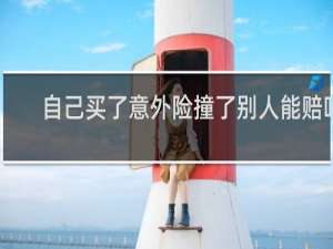 自己买了意外险撞了别人能赔吗