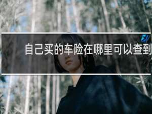 自己买的车险在哪里可以查到