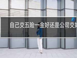 自己交五险一金好还是公司交好