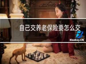 自己交养老保险要怎么交