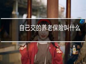 自己交的养老保险叫什么