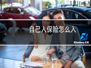 自己入保险怎么入