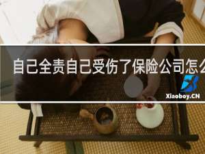 自己全责自己受伤了保险公司怎么赔