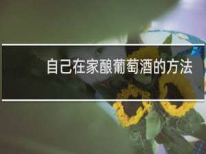 自己在家酿葡萄酒的方法