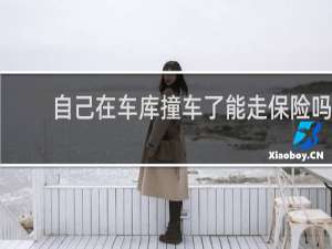 自己在车库撞车了能走保险吗