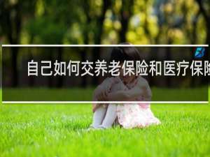 自己如何交养老保险和医疗保险