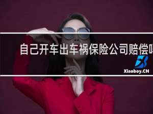 自己开车出车祸保险公司赔偿吗