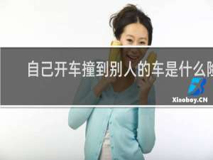 自己开车撞到别人的车是什么险