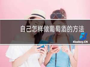 自己怎样做葡萄酒的方法