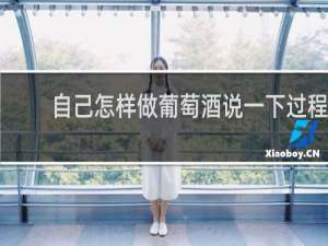 自己怎样做葡萄酒说一下过程