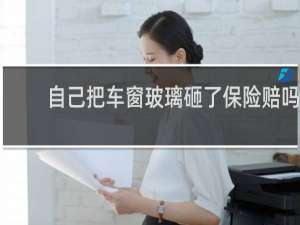 自己把车窗玻璃砸了保险赔吗