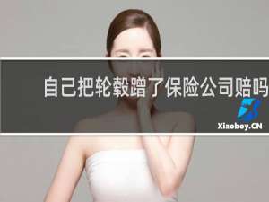 自己把轮毂蹭了保险公司赔吗