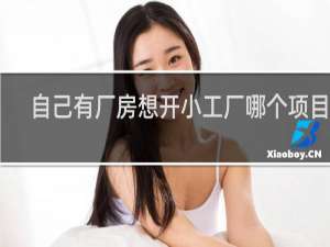 自己有厂房想开小工厂哪个项目好