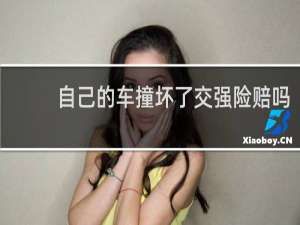 自己的车撞坏了交强险赔吗