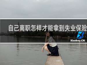 自己离职怎样才能拿到失业保险呢