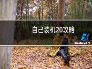 自己装机 攻略