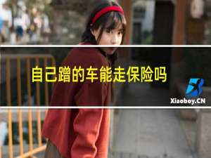 自己蹭的车能走保险吗