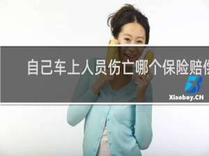 自己车上人员伤亡哪个保险赔偿