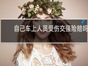 自己车上人员受伤交强险赔吗