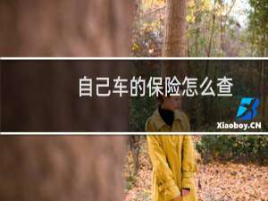 自己车的保险怎么查