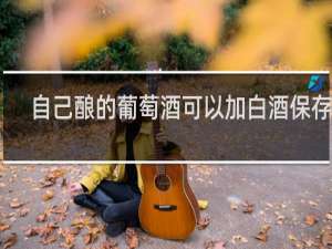 自己酿的葡萄酒可以加白酒保存吗