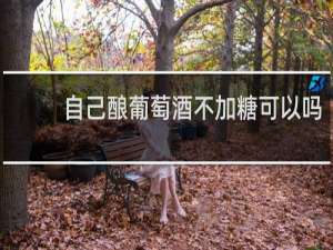 自己酿葡萄酒不加糖可以吗